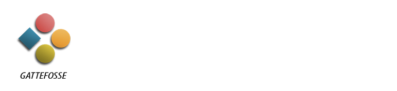 light logo